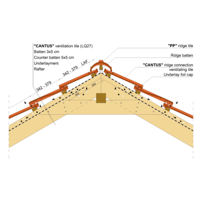 CANTUS RIDGE 01