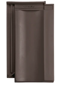 Temno rjava   engoba