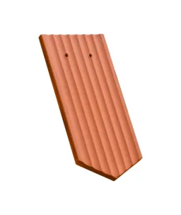 300494.jpg