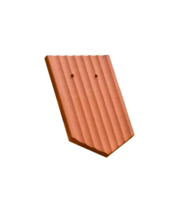 300486.jpg