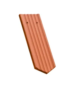 300488.jpg