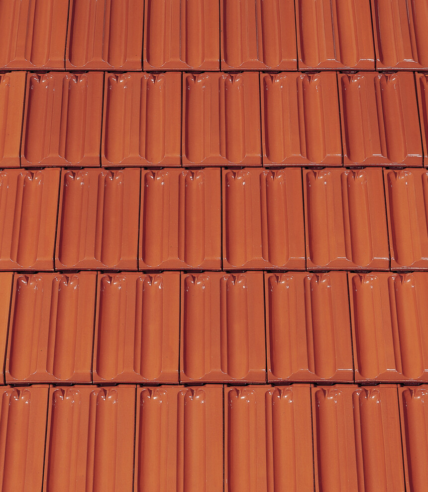 Rdeča   glazura – laying